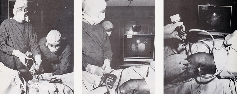 Orthopaedic surgeons perform knee joint surgery in 1985 using an arthroscope. The Lions Club of Footscray raised $20,00 to buy new arthroscopic equipment for the team.